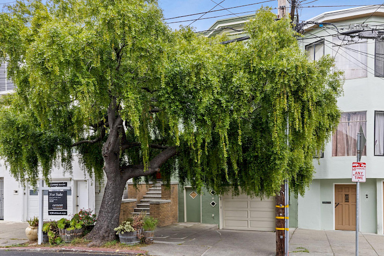 23 Richland Avenue 1