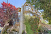 504 Cole Street 11