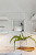 160-162 Richland Avenue 33