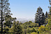 67 Wistaria Way 24