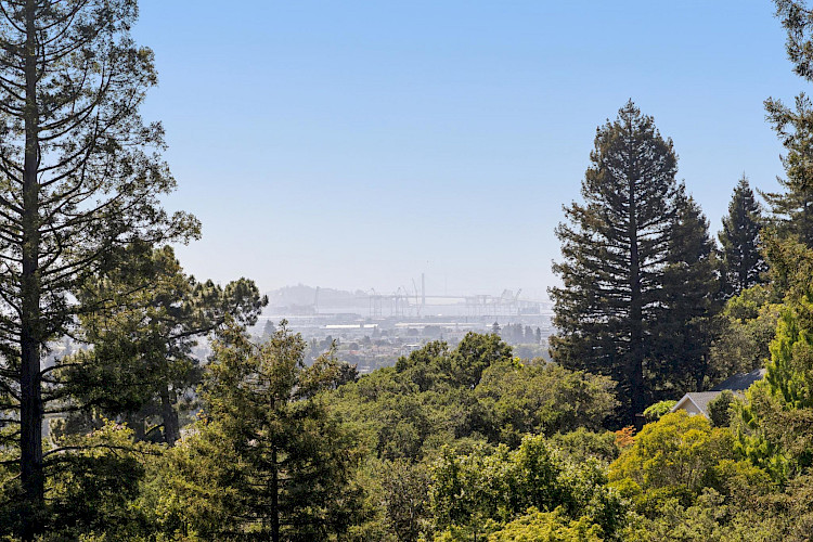 67 Wistaria Way 24