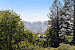 67 Wistaria Way 26