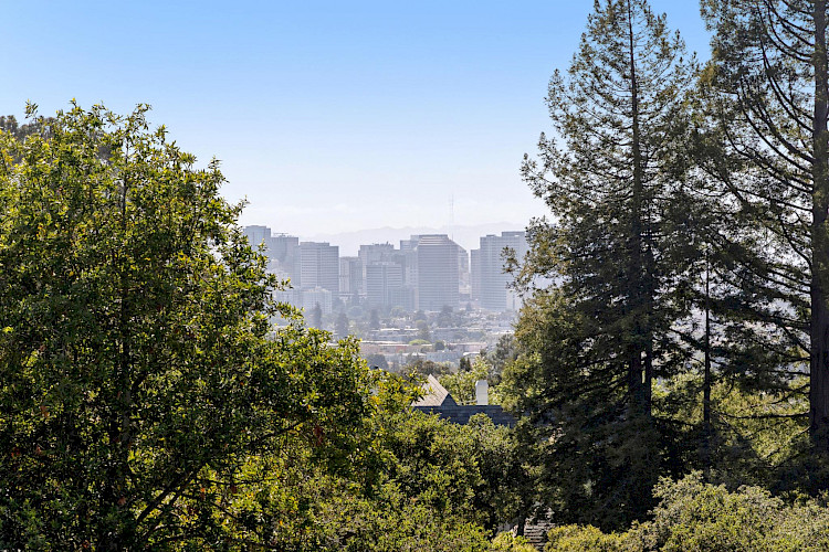 67 Wistaria Way 26